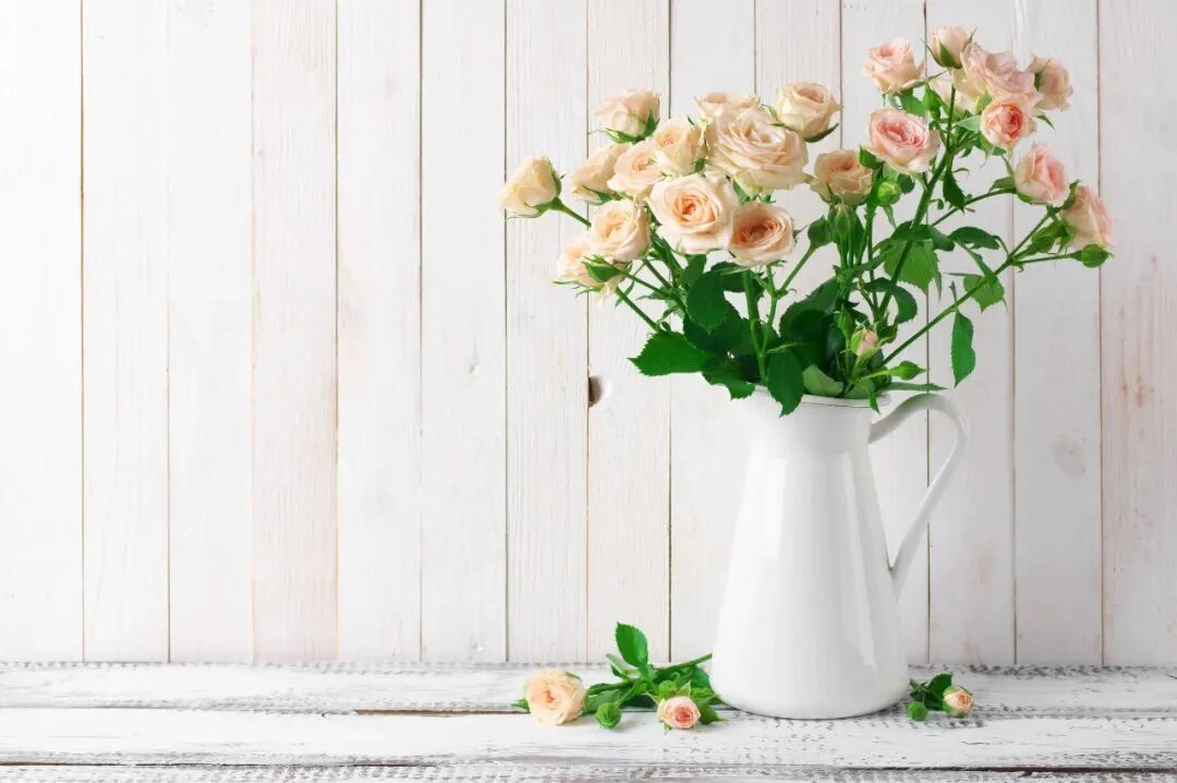 直播间如何建立人设_抖音网红主播八卦视频大全下载-_直播间故事分享技巧
