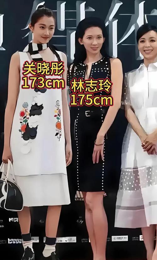 身高作假的明星们_女明星谎报身高_明星身高虚假